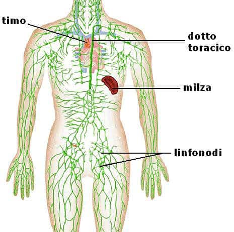 Scienza E Tecnica