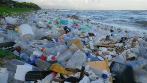 Inquinamento Da Plastica: Cause, Conseguenze E Soluzioni - Studia Rapido